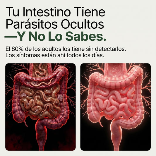 Digerix® - Intestino Sano, Cuerpo Equilibrado